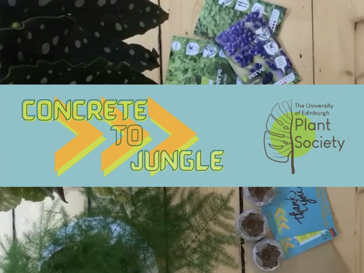 Concrete to jungle, the University of Edinburgh plant society