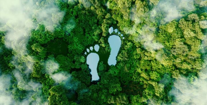 A lake in the shape of footprints in the middle of a forest as a metaphor for the impact of human activity