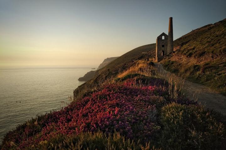 A small tower in the foreground with path leading to it and flowers on one side of the path, along the coastline