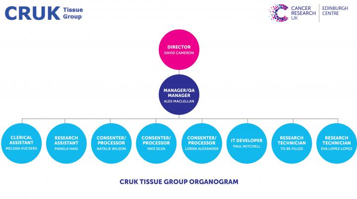 Edinburgh CRUK Tissue Group Organogram