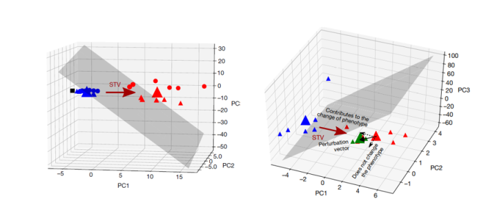 cSTAR methodology used for separation of proliferation and differentiation signalling patterns in neuroblastoma cells.