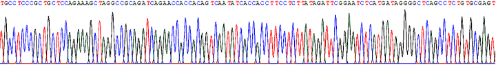 DNA sequencing image