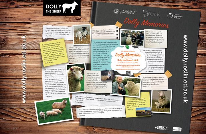 A selection of Dolly memories submissions