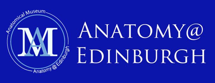 Anatomical Museum & Anatomy@Edinburgh Combined Logo