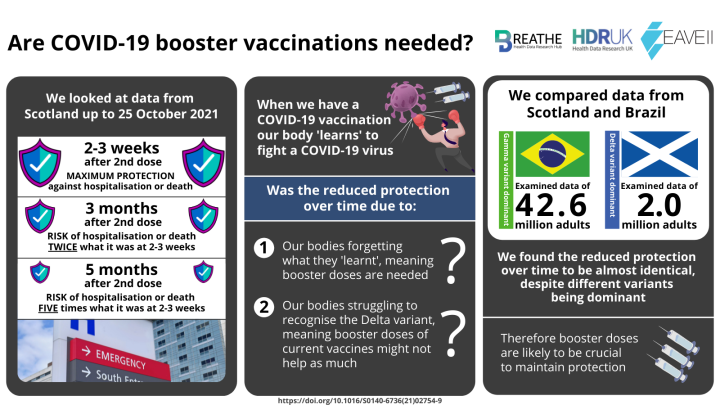 Infographic summarising key findings that protection from COVID-19 vaccine wanes after about 3 months