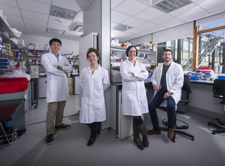 Dr Louise Horsfall and her team of synthetic biologists