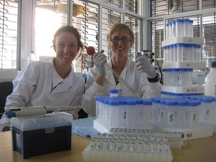 Edith and Fiona in the lab surrounded by samples