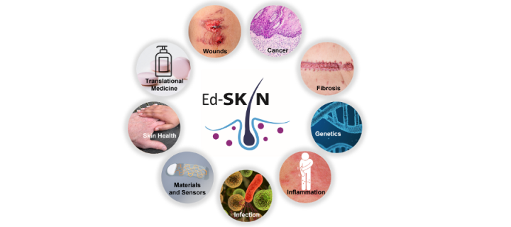 A representation of the 9 research themes in EdSKIN