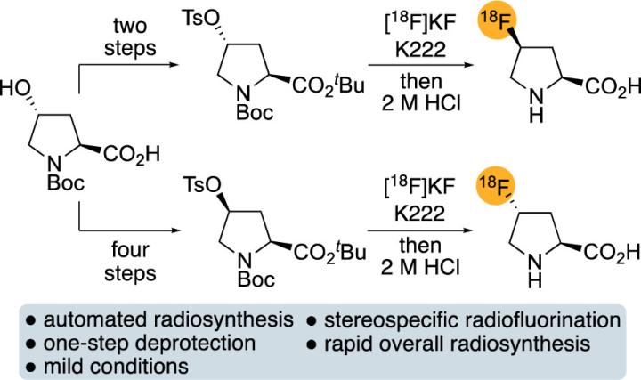 New synthetic route towards both cis- and trans-precursors of fluoroproline and automated radiofluorination using a milder, more effective method.