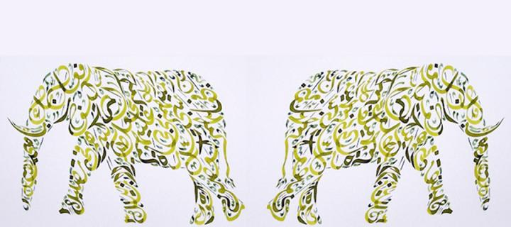 Elephant drawings
