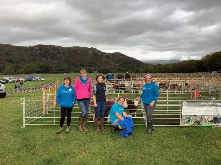 Dr Emily clark and colleagues at the 2019 Eskdale show
