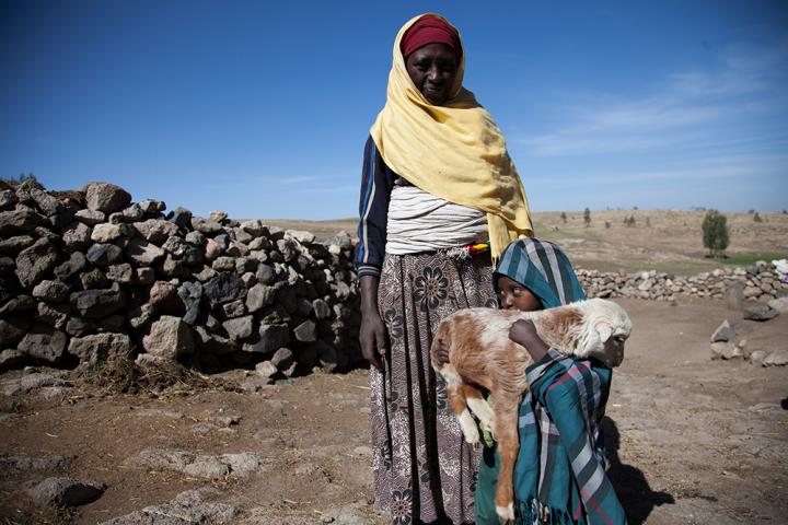 Farmer, daughter and newborn lamb in Ethiopia
