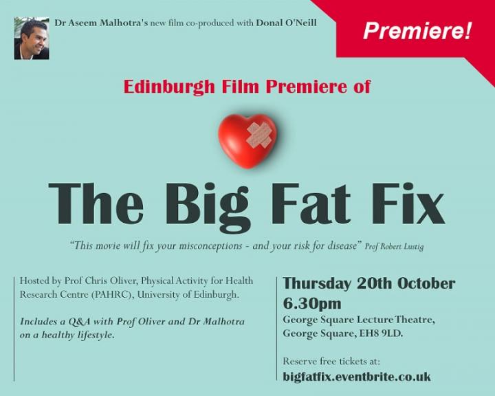 Image of film promotional poster for The Big Fat Fix
