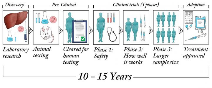 Image showing drug development process from lab to clinic.