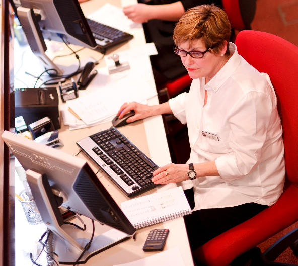Image of member of staff working on a computer