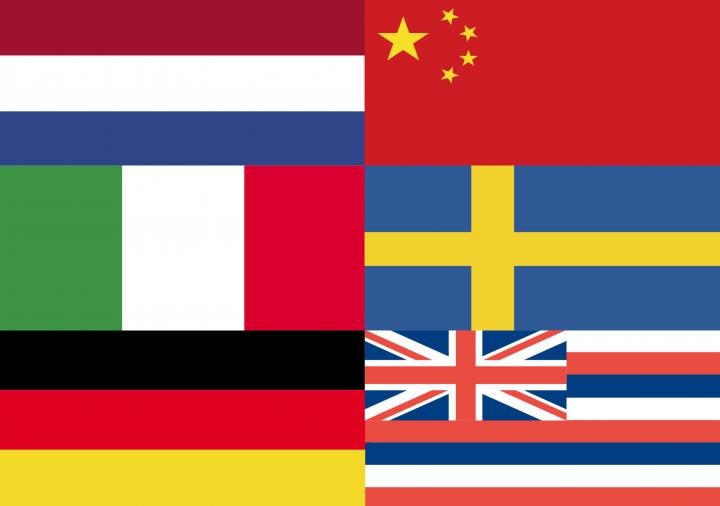 Flags representing origins of selected words