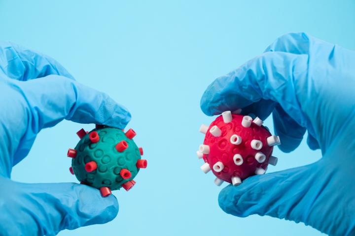 A photograph of two hands in rubber gloves holding two models of coronaviruses