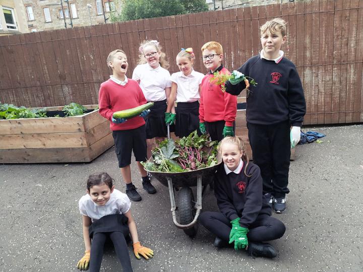 Leith Community Crops in Pots