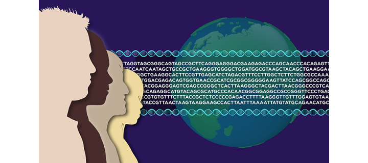 Visual illustration of human genome