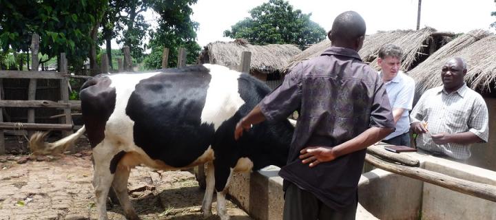 Farming in Malawi