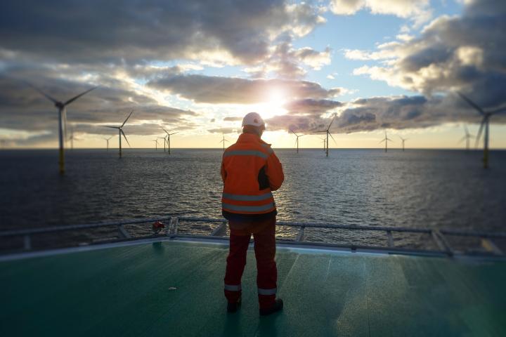 Offshore worker looking at wind turbines