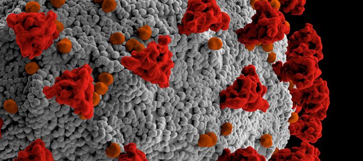 Animation of a cell that is red and grey - © MediaProduction via Getty Images 