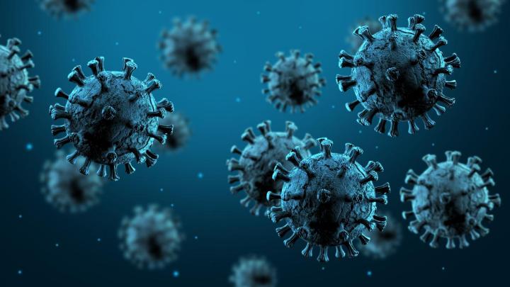 Graphic illustration of the SARS-CoV-2 virus in blue
