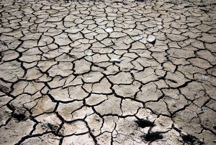 Image of cracked and dried out mud