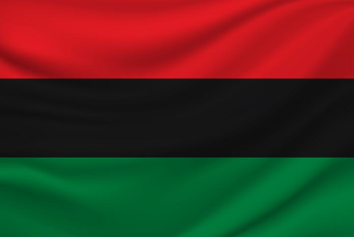 PAN African flag 