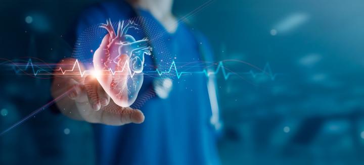 Cardiologist doctor examines visual of heart, representing digital health