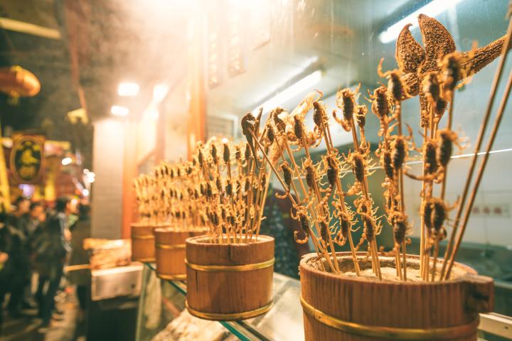 Fried Scorpions on a stick ready to be eaten in Beijing, China