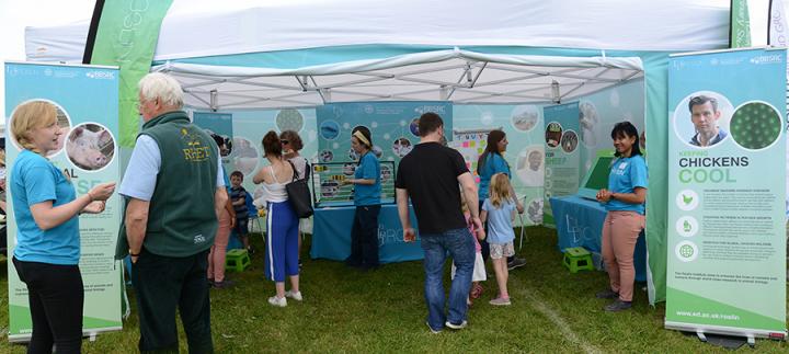 Roslin stand with activities and visitors