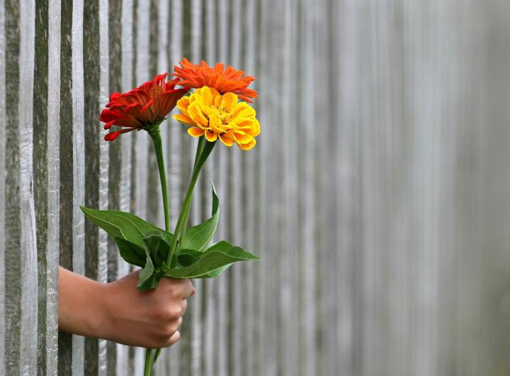 Photograph of a person's hand holding a bunch of flowers between the railings of a fence. 