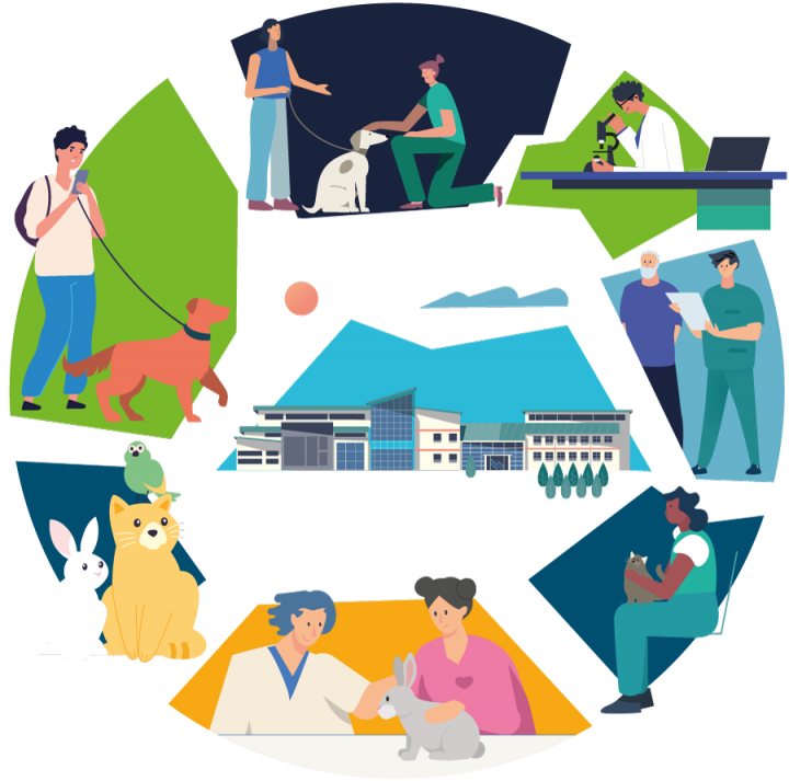 illustration showing activities at the Hospitals including research, veterinary care, pets and clients