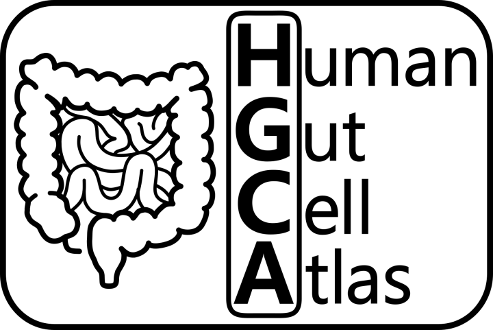 HGCA Logo (Black, White Background)
