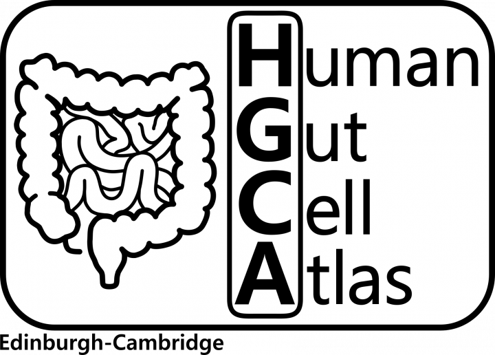 HGCA Logo (Black, White Background, Location LHS)