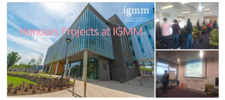 Honours Projects IGMM session