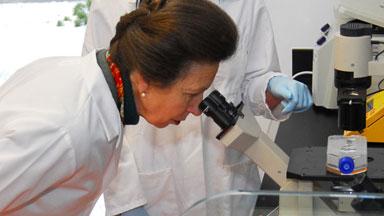 image of The Princess Royal looking through a microscope