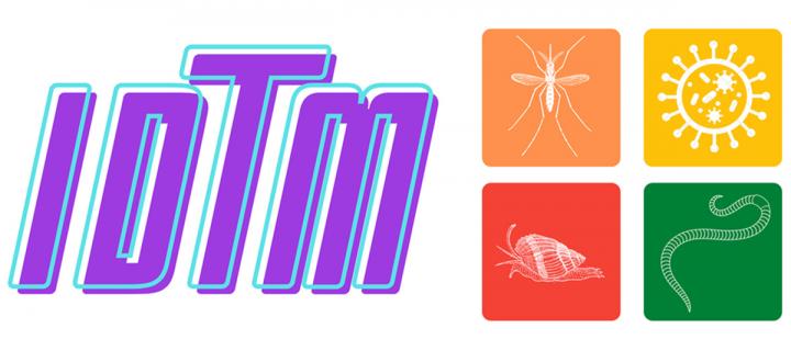 IDTM logo