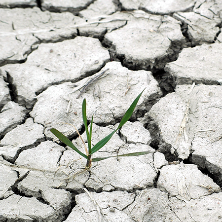 Photo of dry, cracked ground as a result of drought