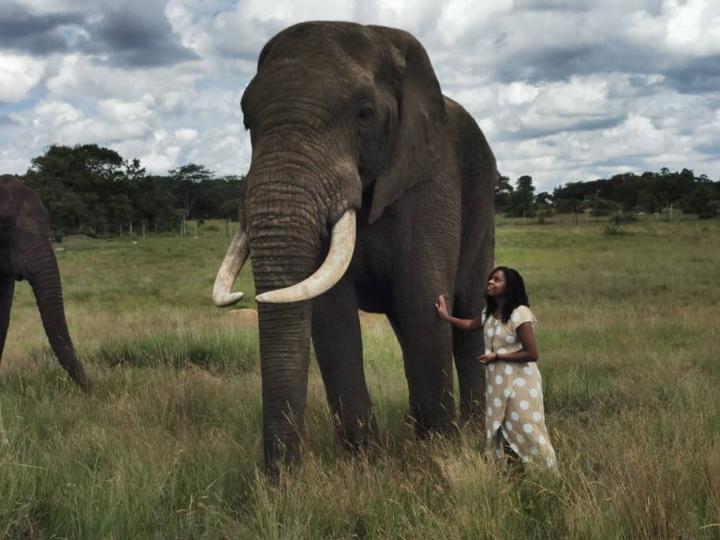 Photograph of Lindiwe Dhlakama with an elephant.