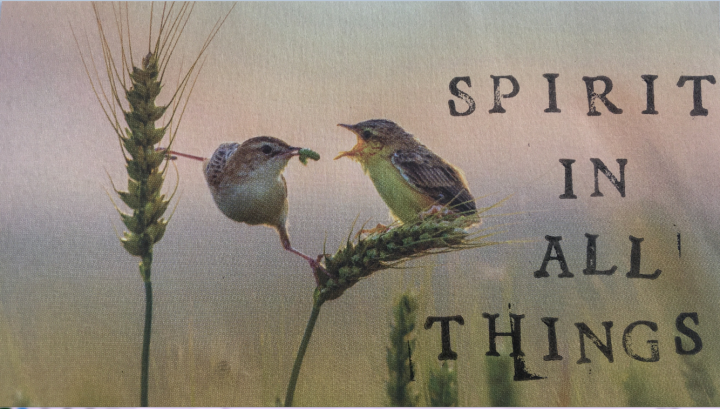 Image with the text Spirit in all things: beside the text are two birds sitting on plants with sky in the background.