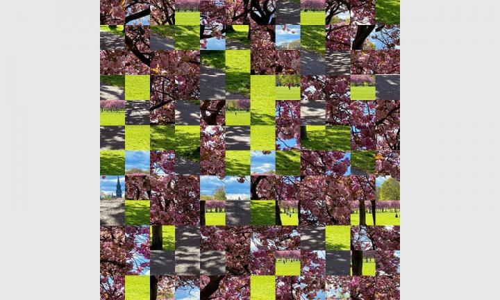 An image scrambled into 144 tiles. Pink, light green and brown tones.
