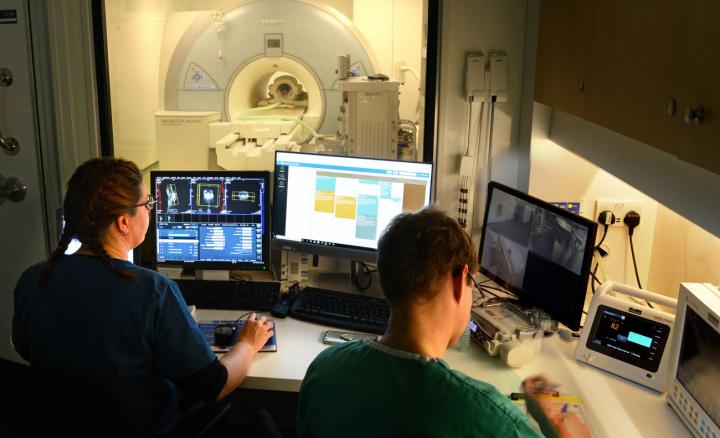Two vets looking at screens of an MRI scan in a darkened room