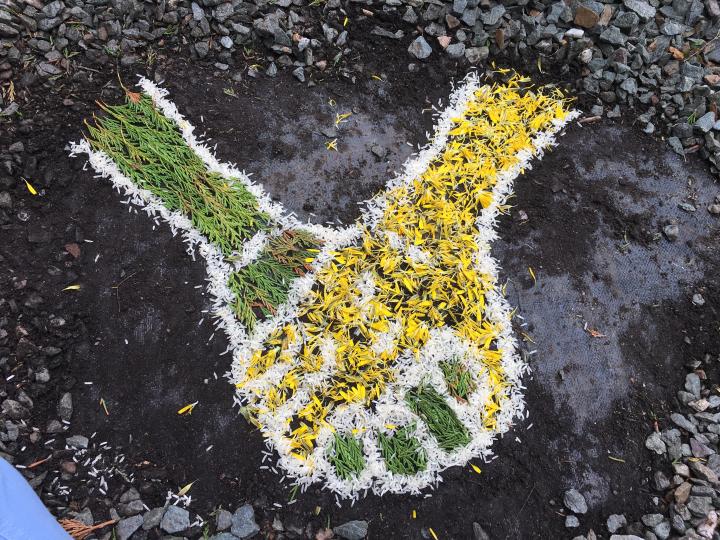 Two hands, one green one yellow, made from petals scattered on the earth, holding hands
