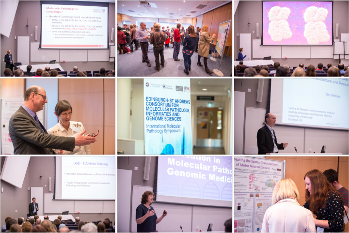 IMPS 2017 photo montage - speakers and poster sessions