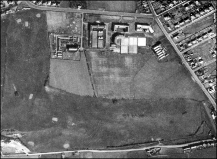 An aerial photograph of The King's Buildings campus in 1946