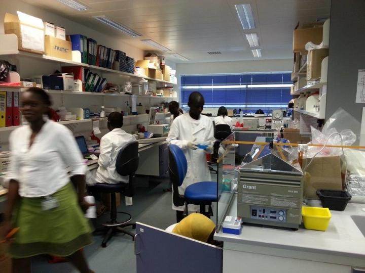 Five African scientists are to study at the University of Edinburgh as part of a scheme to tackle infectious diseases.