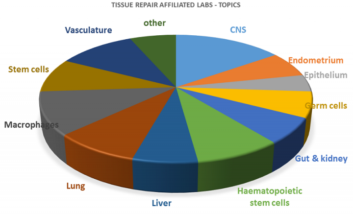 Tissue Repair Research Topics Pie chart