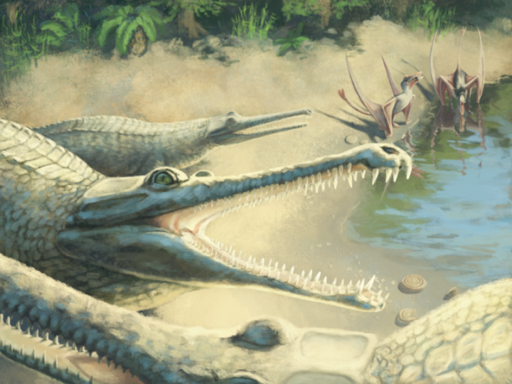 Artist's impression of Mystriosaurus